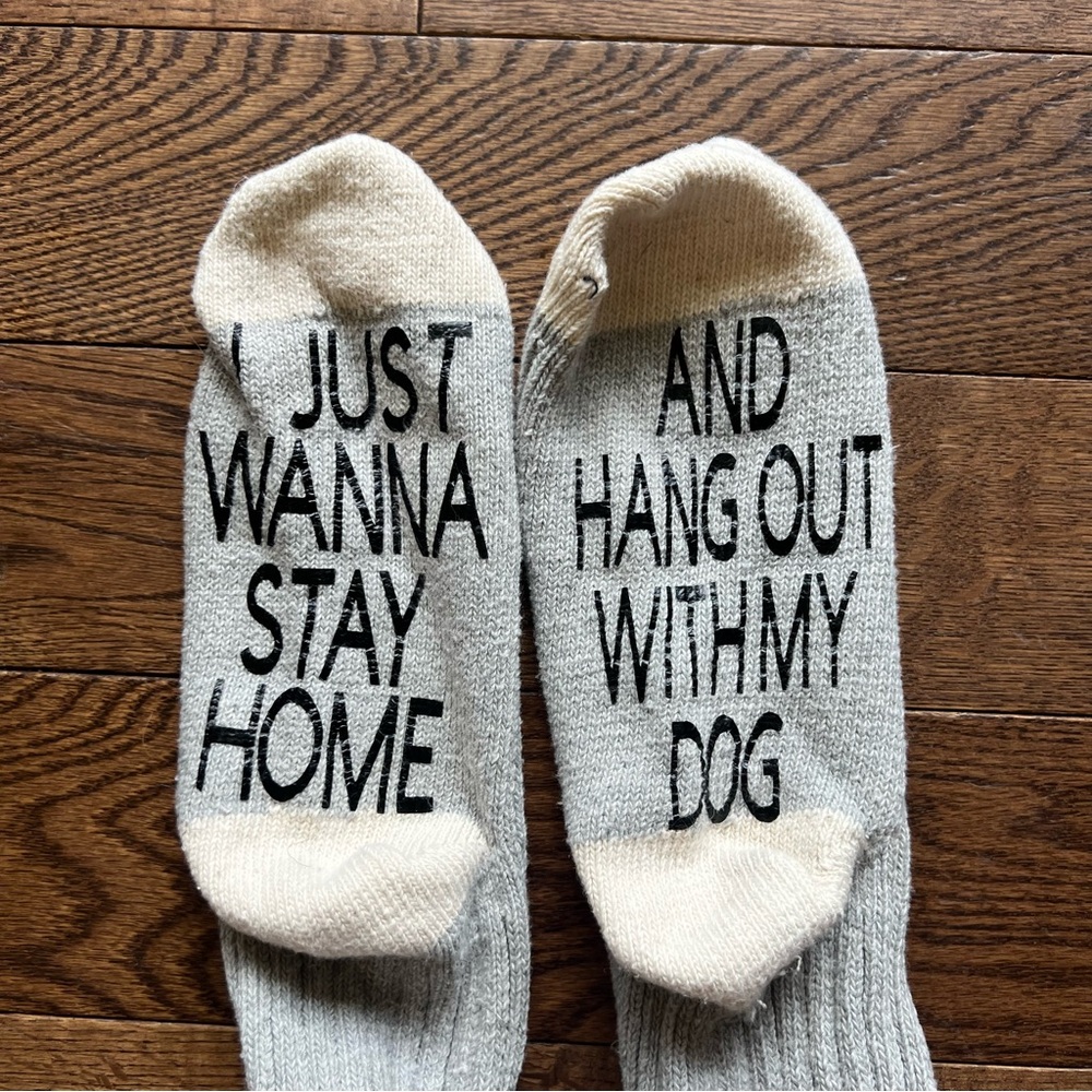 ☀️50% OFF☀️ NWOT Dog Lover Socks